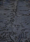 Каракульча джинс